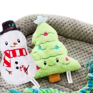 Vibrant Life Plush Dog Toy with Squeaker Set